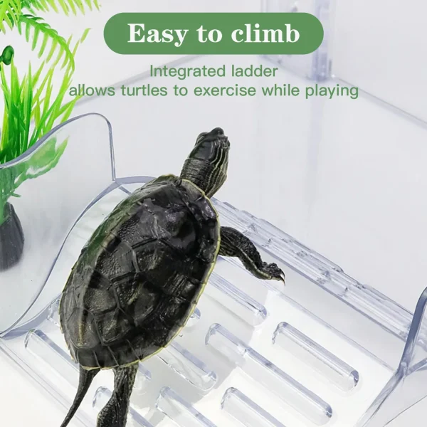 Floating Turtle Basking Platform Aquatic Reptile Ramp