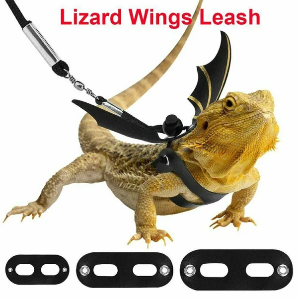 Lizard Leash Reptile Harness for Outdoor